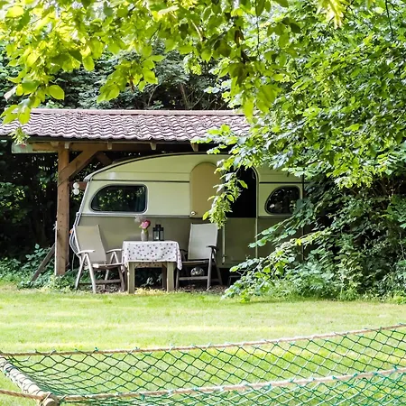 Campsite Waaldijk15, Vintage Caravans In Nature