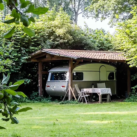 Campsite Waaldijk15, Vintage Caravans In Nature Dreumel