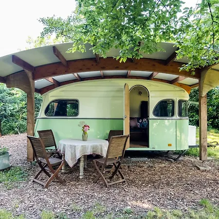 Campsite Waaldijk15, Vintage Caravans In Nature